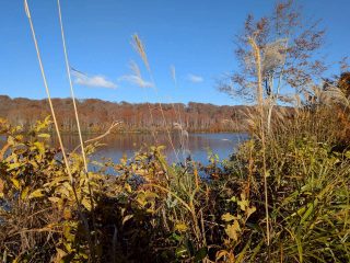 2025年11月4日 野々海高原周辺