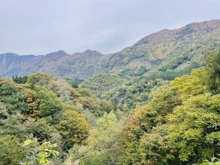 2025年10月22日 屋敷周辺