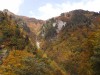 秋山林道の紅葉風景